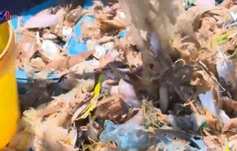 Ngăn rác thải nhựa đổ ra biển