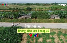 Những bộ phim tài liệu lên sóng VTV1 dịp Tết Nguyên đán Kỷ Hợi