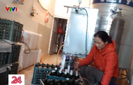 Rùng mình "công nghệ" sản xuất rượu vang Tết siêu tốc