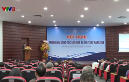 Ngành văn hóa Đà Nẵng triển khai công tác năm 2019
