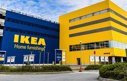 IKEA sẽ đầu tư 450 triệu EUR vào Hà Nội