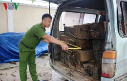 Quảng Nam: Bắt xe tải gắn biển số giả chở 10 phách gỗ lậu