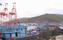 Công ty cổ phần cảng Quy Nhơn thu phí lai dắt tàu vượt khung