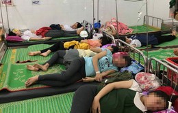 Hơn 200 công nhân bị ngộ độc ở Bình Định: Nguyên nhân từ độc tố trong cá ngừ