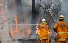 Nguy cơ cháy rừng tồi tệ đe dọa các bang phía Đông Australia