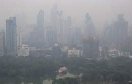 Ô nhiễm không khí có thể dẫn tới hói đầu