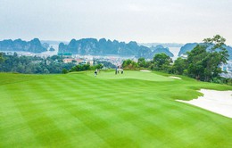 Đẩy mạnh du lịch golf tại Việt Nam