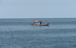 Trải nghiệm câu cá Bắc đảo Phú Quốc