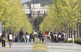 Hàn Quốc cân nhắc ra đạo luật cấm bình luận ác ý