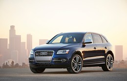 Audi triệu hồi hơn 500 xe Q5 tại Việt Nam để gia cố ốp chắn bùn bánh xe