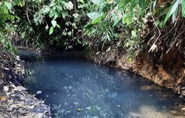 Truy bắt nghi phạm thứ 3 đổ trộm dầu thải gây ô nhiễm nguồn nước sạch sông Đà