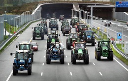 Hà Lan: Biểu tình bằng máy kéo khiến giao thông tê liệt