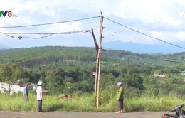 Người dân Đắk Nông sử dụng lưới điện tự kéo gây mất an toàn