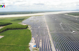 Việt Nam có tiềm năng lớn về điện mặt trời trên mặt hồ
