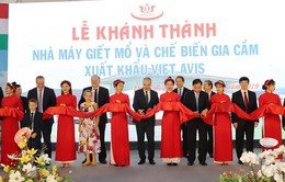 Việt Nam - Hungary hợp tác phát triển chế biến gia cầm