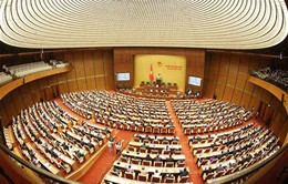 TRỰC TIẾP Quốc hội thảo luận về kinh tế - xã hội, ngân sách nhà nước
