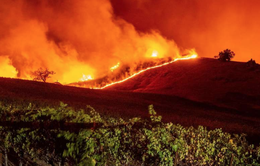 Cháy rừng khủng khiếp tại Mỹ, hàng ngàn người phải sơ tán khẩn cấp