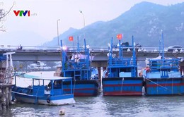 Khánh Hòa thông báo cho gần 600 tàu cá chủ động tránh bão số 6