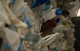 Ấn Độ đặt mục tiêu loại bỏ đồ nhựa dùng một lần vào năm 2022