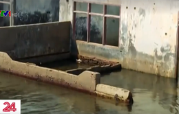 Thiệt hại từ viễn cảnh các thành phố bị nhấn chìm trong nước biển