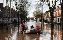 Anh chi 2,6 tỷ Bảng khắc phục hậu quả lũ lụt