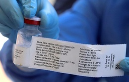 WHO đẩy nhanh quy trình cấp phép vaccine Ebola đầu tiên