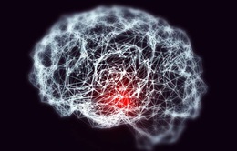 Phát triển công nghệ mới truyền thuốc trực tiếp vào não cho bệnh nhân Alzheimer