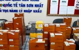 Hải quan Tân Sơn Nhất thu giữ gần 2.500 điếu xì gà nhập lậu