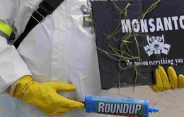 Monsanto thừa nhận sử dụng thuốc trừ sâu trái phép tại Mỹ