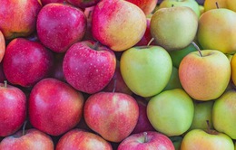 Biến đổi khí hậu có thể làm táo đỏ biến mất