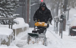Giao thông tê liệt do bão tuyết tại Mỹ