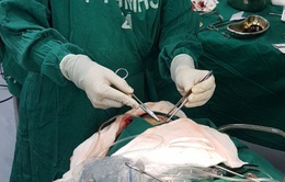 Phẫu thuật cấp cứu thành công 3 bệnh nhân bị đạn bắn