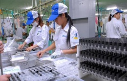 Hơn 70% doanh nghiệp Hong Kong (Trung Quốc) chọn Việt Nam là điểm đến đầu tiên ở ASEAN