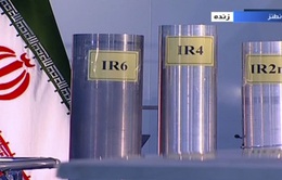 Iran nối lại hoạt động làm giàu urani: Các nước quan ngại