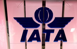 IATA hạ dự báo lợi nhuận ngành hàng không toàn cầu