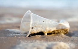 Israel cấm đồ nhựa dùng một lần tại bãi biển