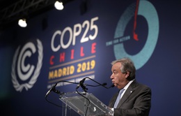 Hội nghị COP25: EU kêu gọi tìm tiếng nói chung cho vấn đề khí hậu