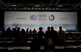 Hội nghị COP25 đạt thỏa thuận khiêm tốn vào phút chót