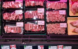 Trung Quốc nỗ lực bình ổn giá thịt lợn