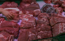 Thủ tướng yêu cầu nêu rõ trách nhiệm của việc tăng giá thịt lợn