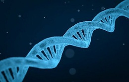Phát hiện biến thể gene gây vô sinh ở nam giới
