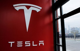 Giới bán khống cổ phiếu Tesla lỗ hàng tỷ USD năm 2019
