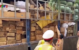 Công an Quảng Ngãi bắt xe tải vận chuyển gỗ không rõ nguồn gốc