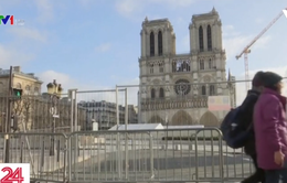 Khó cứu mái vòm của nhà thờ Đức Bà Paris