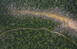 Các đám cháy rừng Amazon làm băng tan nhanh hơn