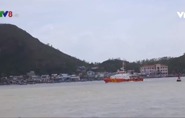 Bình Định: Chuẩn bị phương án xử lý dầu tràn từ tàu Toàn Phát 68