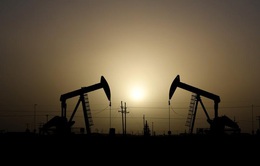 Giá dầu châu Á đi lên trước thềm cuộc họp của OPEC