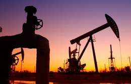Mexico phát hiện mỏ dầu có trữ lượng lên tới 700 triệu thùng