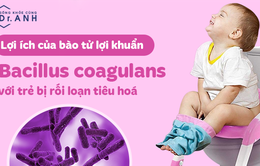 Lợi ích của bào tử lợi khuẩn Bacillus coagulans đối với trẻ bị rối loạn tiêu hóa