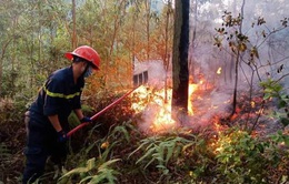 Khống chế vụ cháy rừng ở Bắc Giang